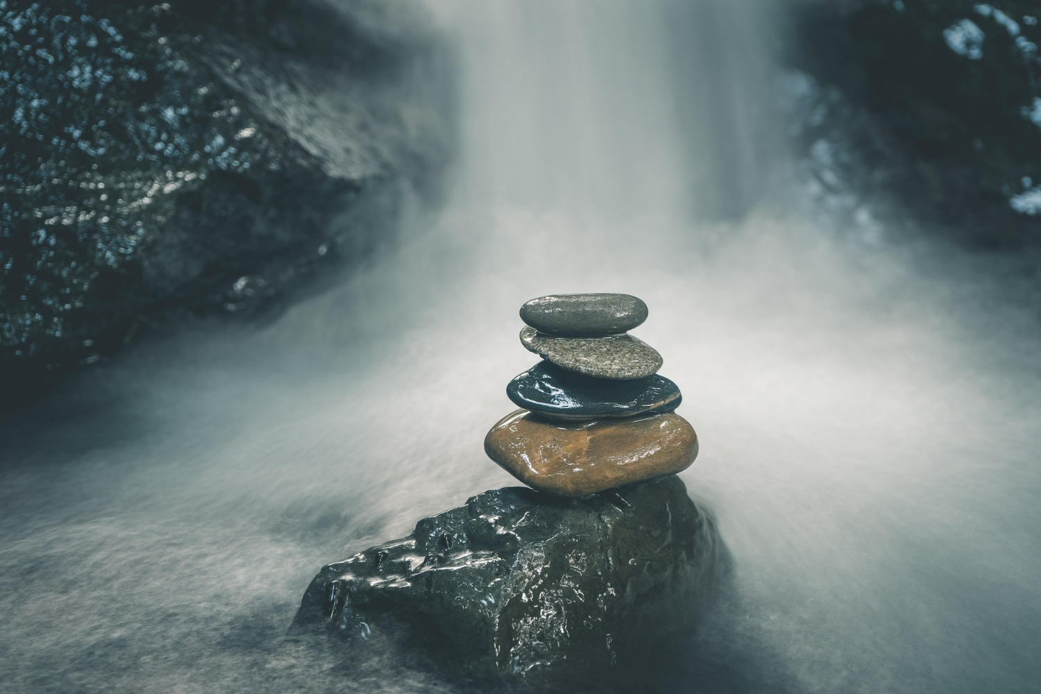 Desperta tu mente: Prácticas de meditación