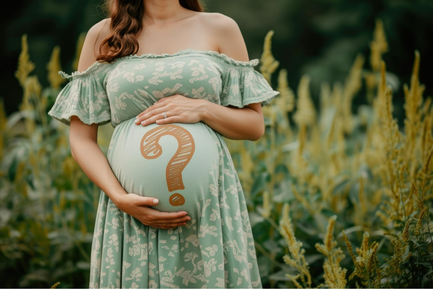 El Primer Capítulo: Embarazo y Preparación para la Familia