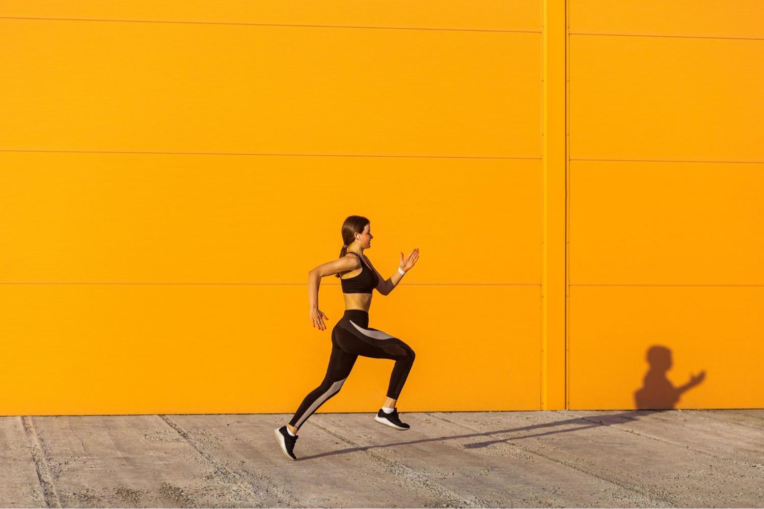 Despertad vuestros Chakras: El camino que corre